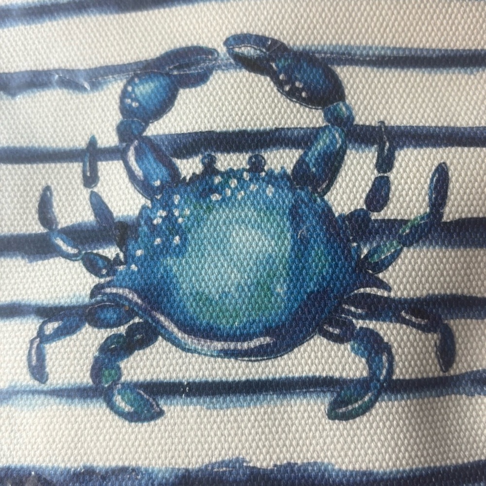 🦀🏖️🦀 BRIGHTON AHOY MATEY MINI TOTE 🦀🏖️🦀  NWT 🦀🏖️🦀 - Picture 7 of 16